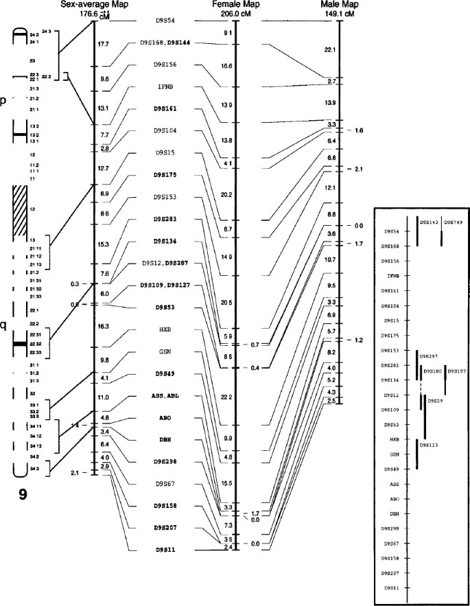 European Gene Mapping Project Eurogem Genetic Maps Based On The Ceph Reference Families European Journal Of Human Genetics