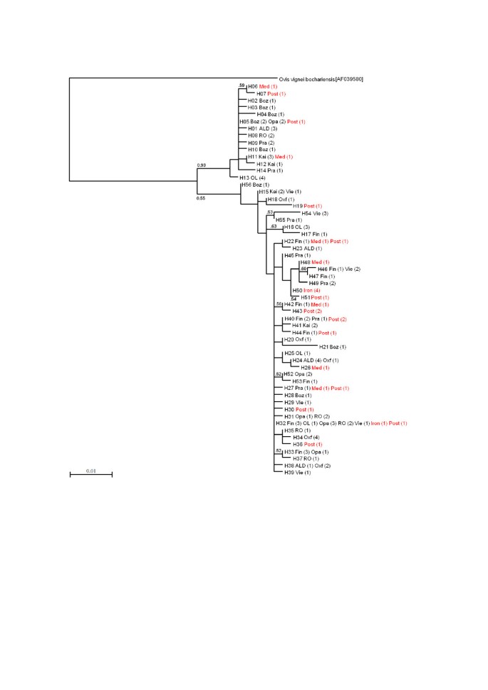 Mitochondrial Dna And Y Chromosomal Diversity In Ancient Populations Of Domestic Sheep Ovis Aries In Finland Comparison With Contemporary Sheep Breeds Genetics Selection Evolution Full Text