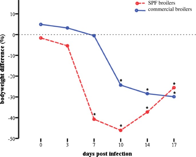 Quantity of virulent fowl adenovirus serotype 1 correlates with clinical  signs, macroscopical and pathohistological lesions in gizzards following  experimental induction of gizzard erosion in broilers | Veterinary Research  | Full Text