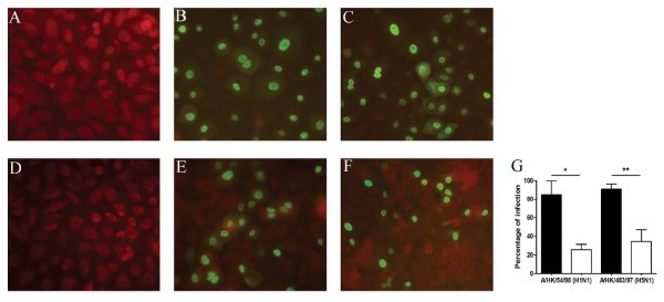 figure 4_816