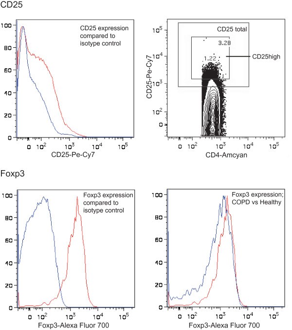 figure 2_822