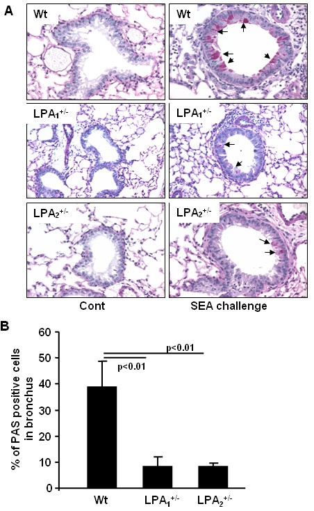 figure 4_828