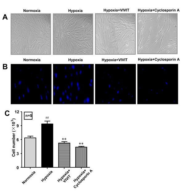 figure 7_837