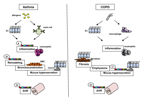 figure 2_841