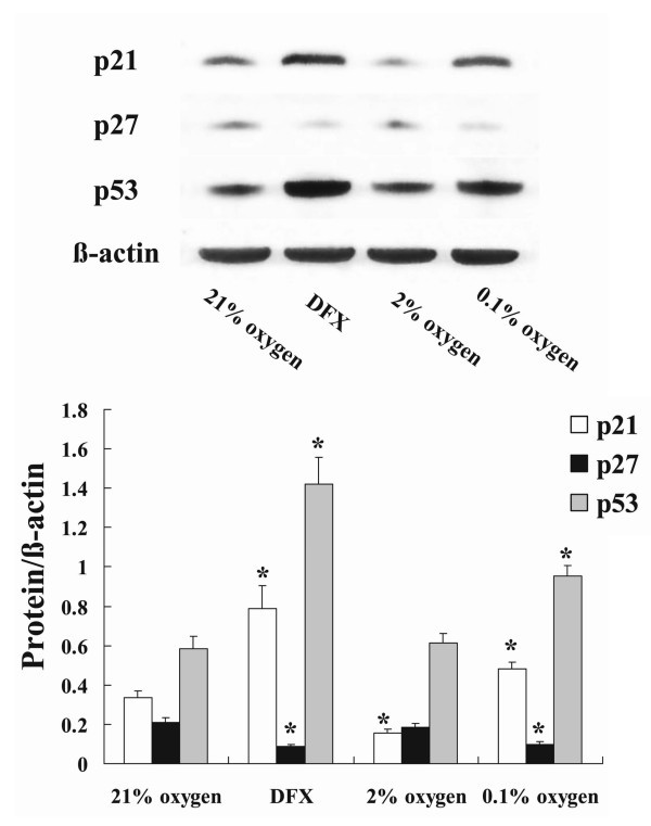 figure 3_731