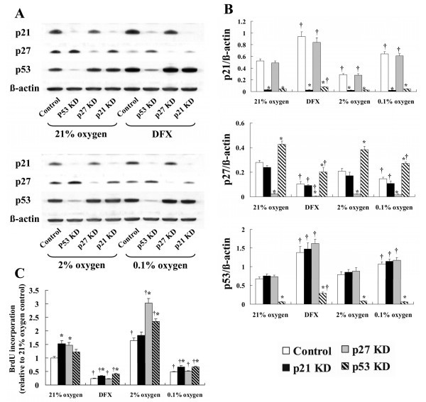 figure 7_731