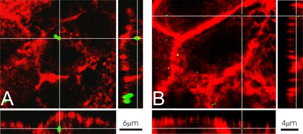 figure 2_736