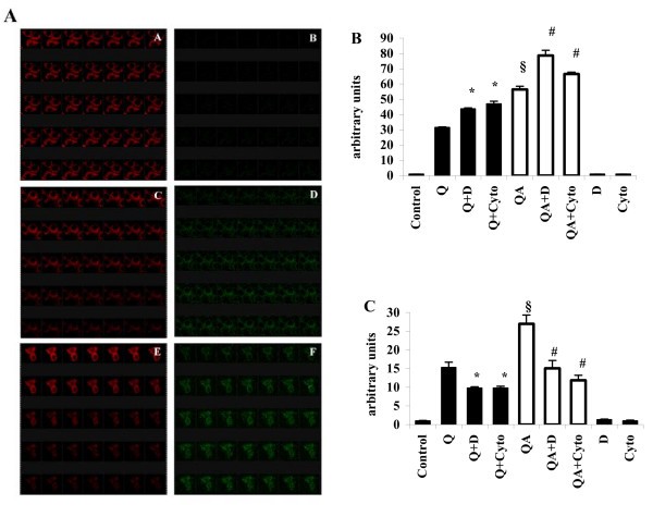 figure 5_739