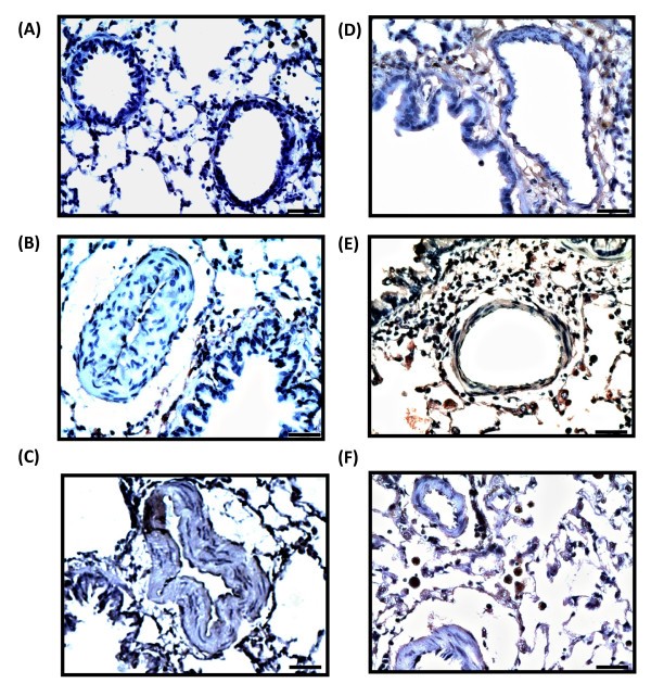 figure 5_746