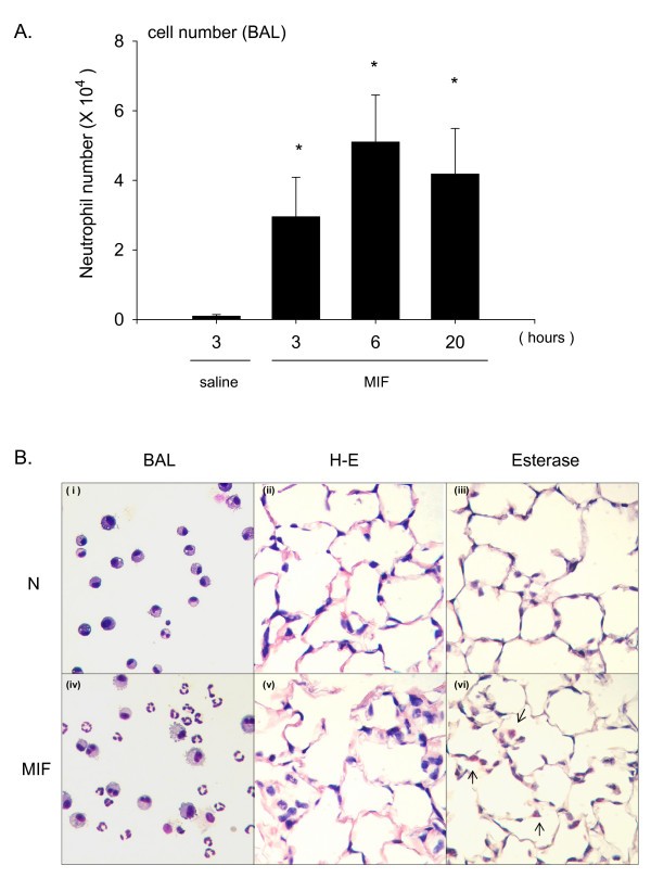 figure 1_747