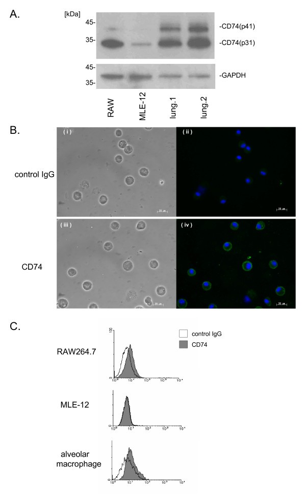 figure 3_747