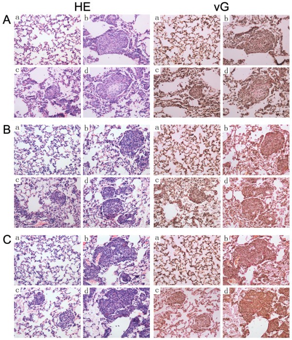 figure 4_750