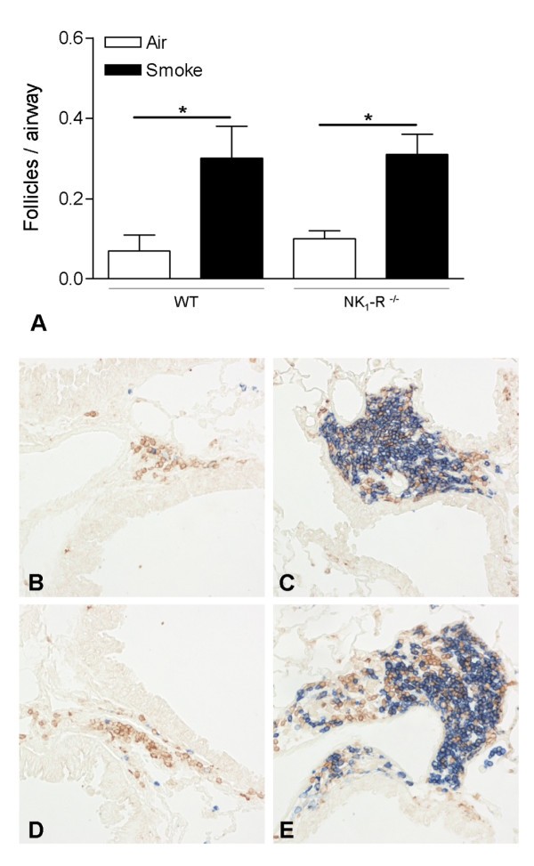 figure 2_751