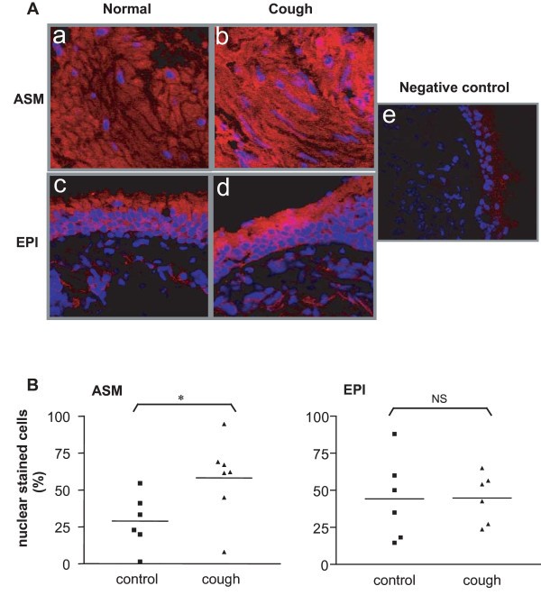 figure 5_754