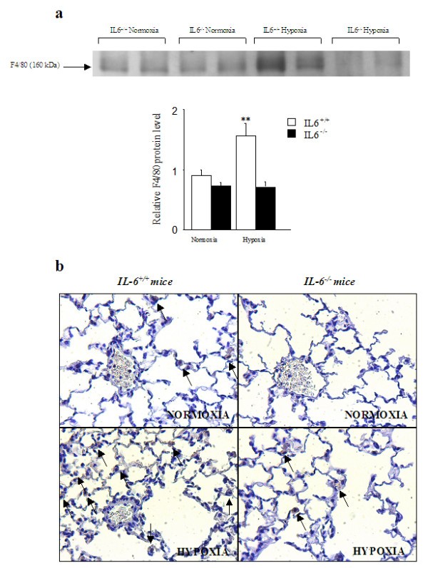 figure 4_720