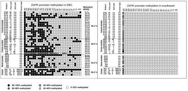 figure 3_800