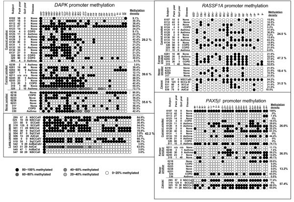 figure 4_800