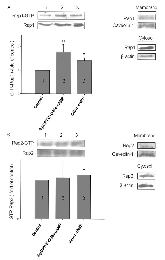 figure 5_802