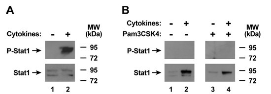 figure 5_810