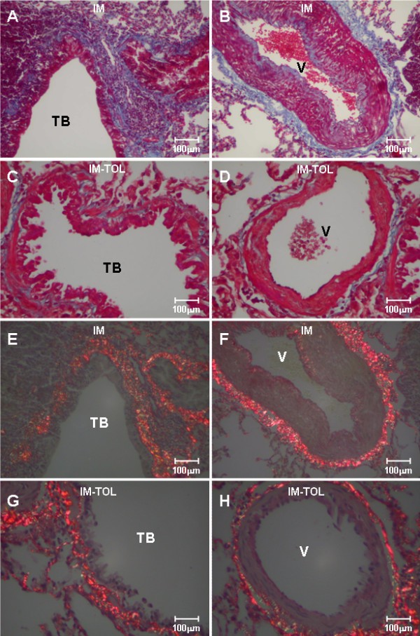 figure 1_844