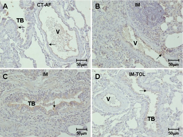 figure 4_844