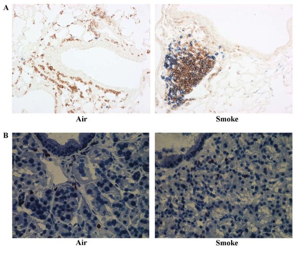 figure 2_943