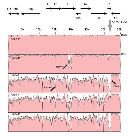 figure 2_959