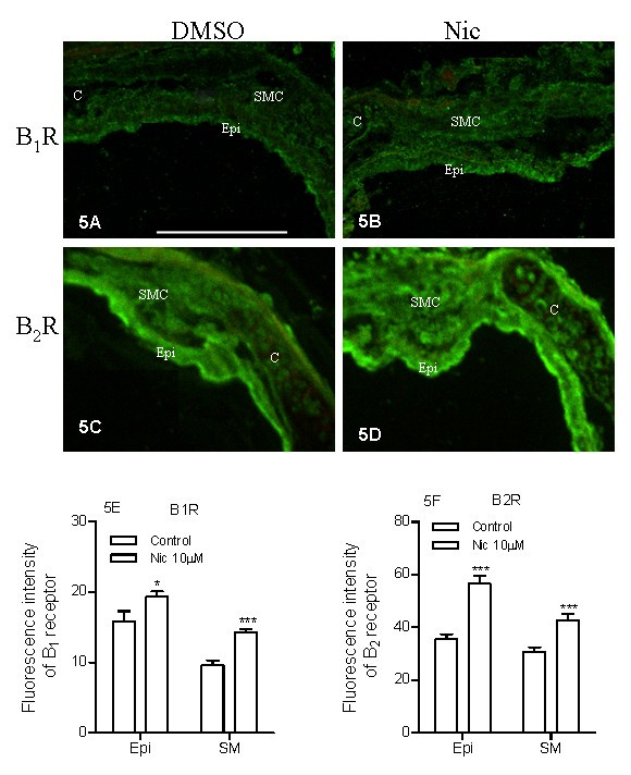 figure 5_856