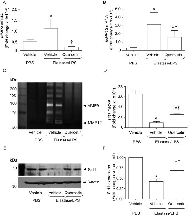 figure 5_974