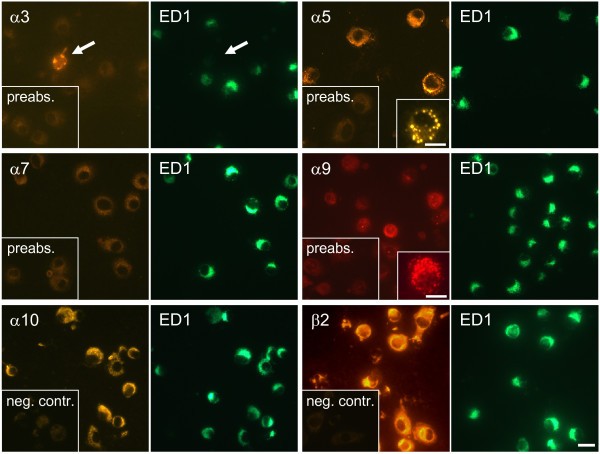 figure 2_976