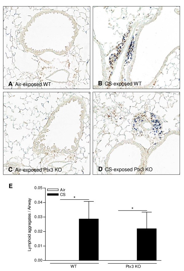 figure 7_977