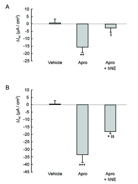 figure 4_984