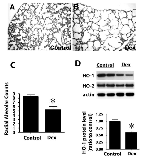 figure 2_985