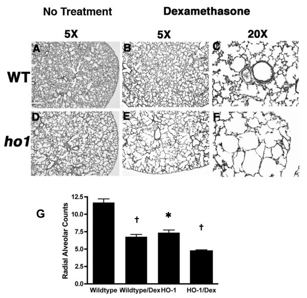 figure 3_985