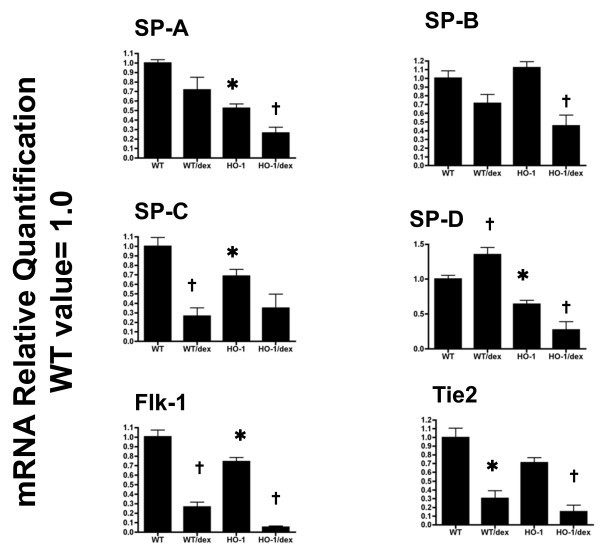 figure 4_985