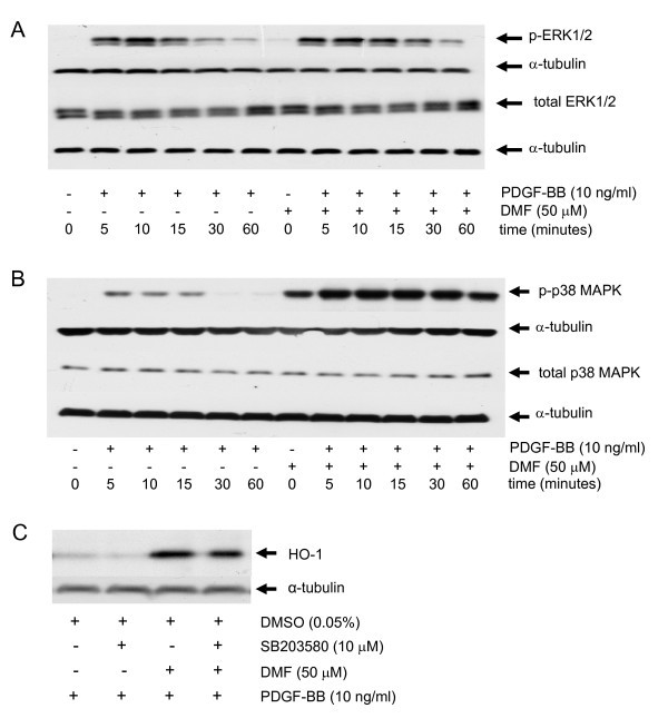 figure 3_988