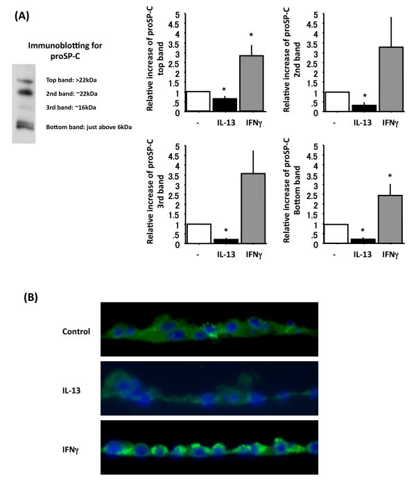 figure 4_1000