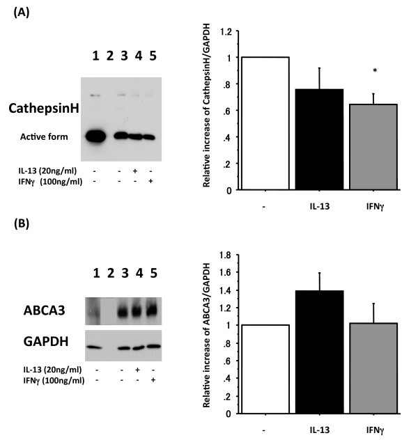 figure 5_1000