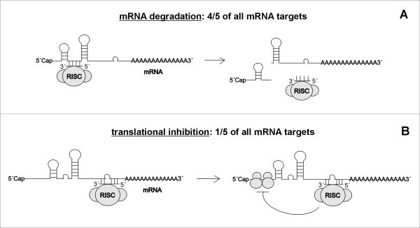 figure 2_1002