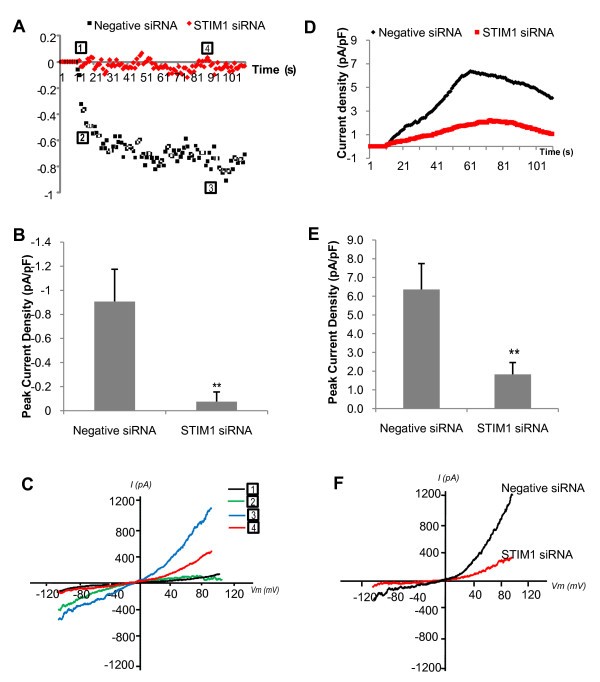 figure 6_1011