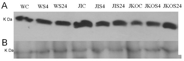 figure 2_1015