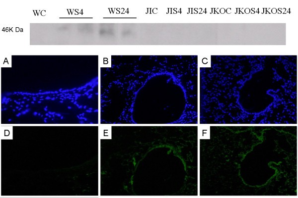 figure 5_1015