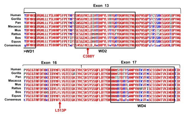 figure 2_1017