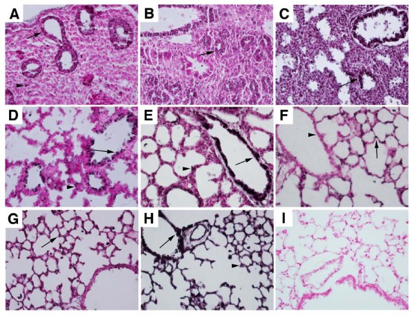 figure 1_1018