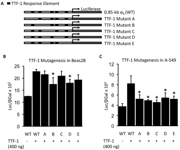 figure 5_1018