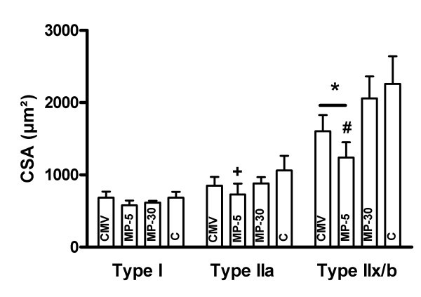 figure 2_1021