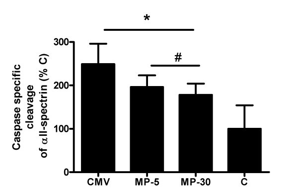 figure 5_1021