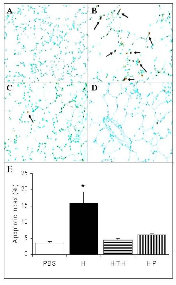 figure 2_1022