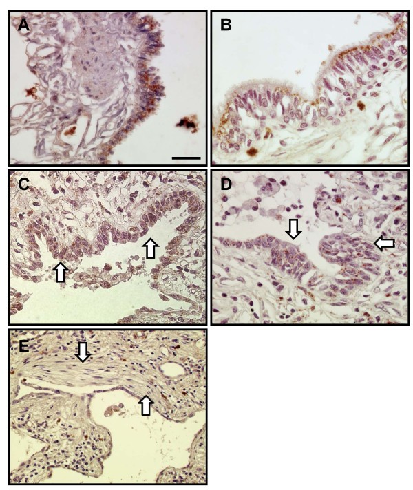 figure 2_1026