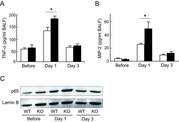 figure 4_874